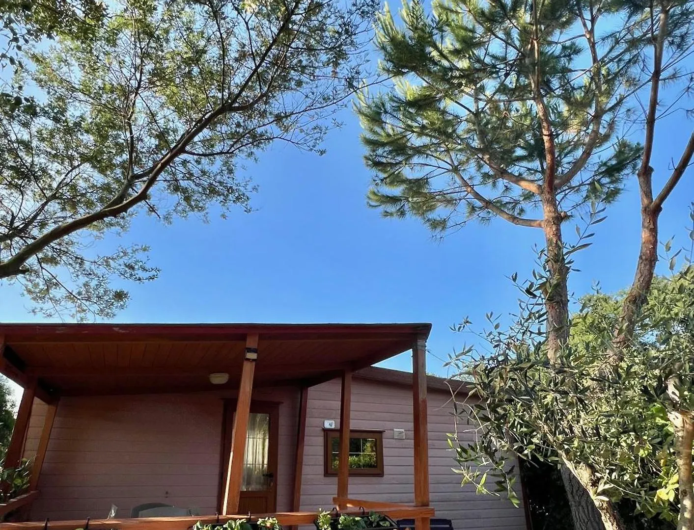 Tenuta De Fanti Agriturismo Bibbona Alloggio per agriturismo