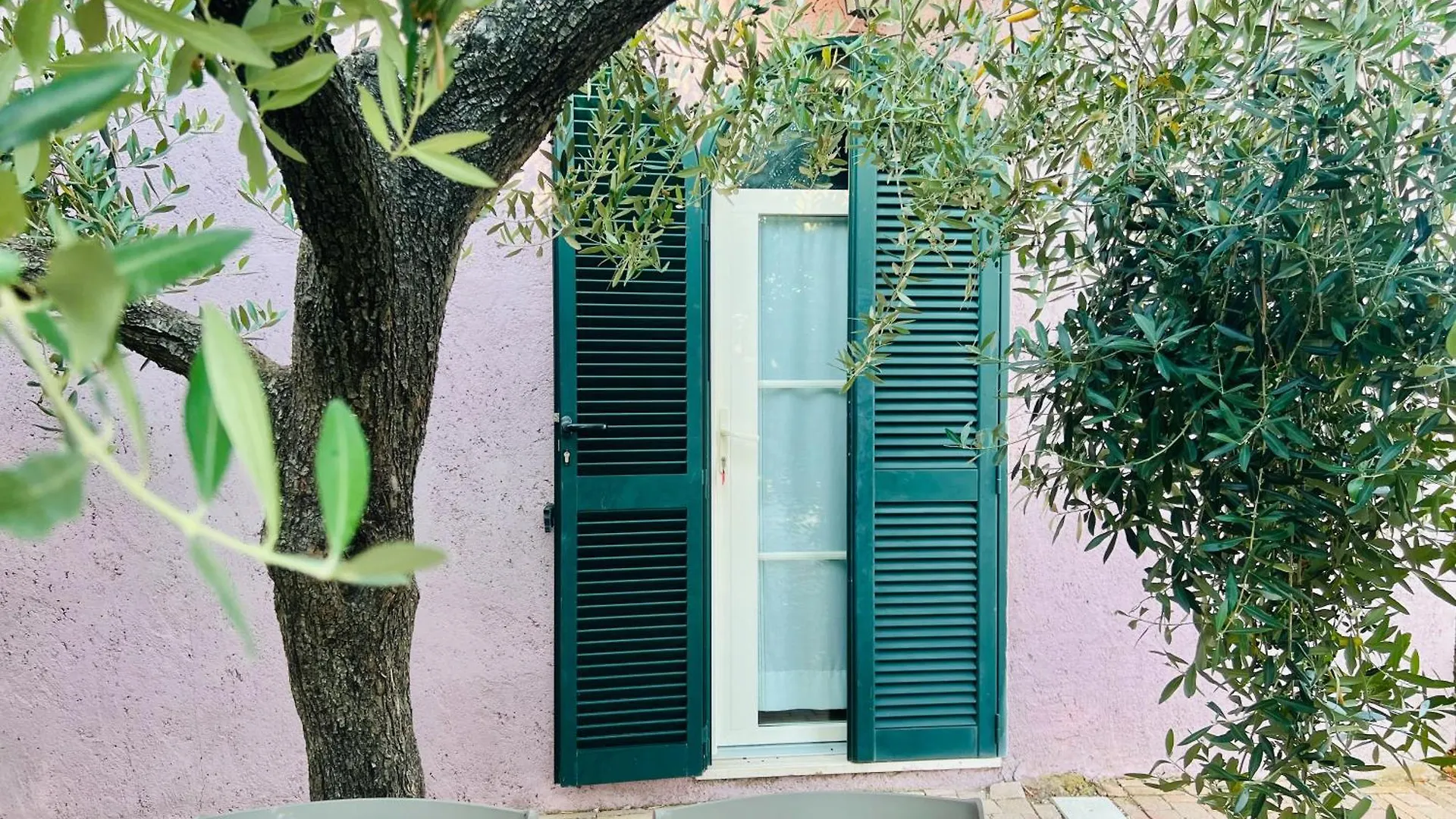 Tenuta De Fanti Agriturismo Bibbona Alloggio per agriturismo