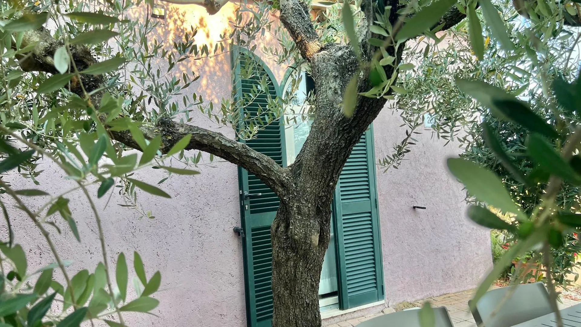 Alloggio per agriturismo Tenuta De Fanti Agriturismo Bibbona Italia