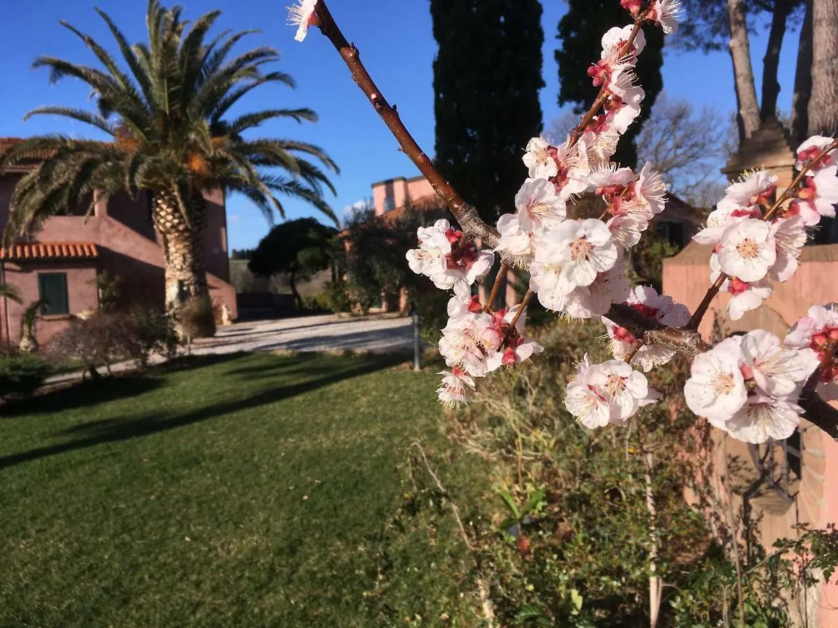 Tenuta De Fanti Agriturismo Bibbona Alloggio per agriturismo